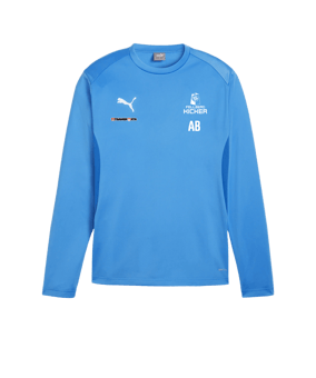 PUMA teamGOAL Training Sweatshirt Blau F02