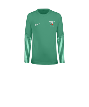 Nike Park V Torwarttrikot Langarm Kids Grün F324