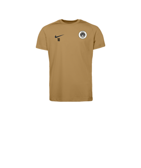 Nike Park VIII Maillot Enfants Gold C729