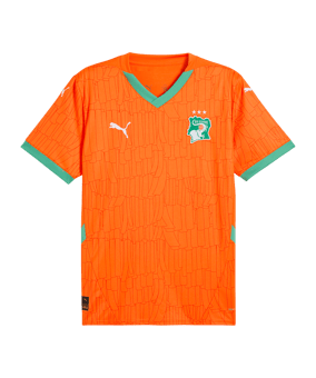 PUMA Ivoorkust Shirt Orange K01 - oranje