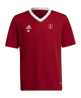 adidas Entrada 22 Trikot Rot Weiss