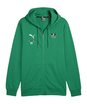 PUMA teamGOAL Casuals Kapuzenjacke Grün F05