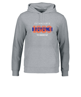 Merch Drummer 2.0 Hoody Heather Grey  | #established