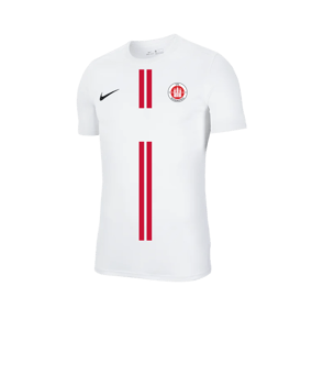 Nike Park VII Trikot kurzarm Weiss F100