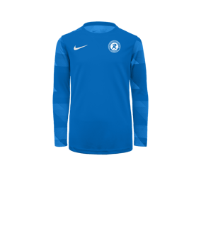 Nike Park IV TW-Trikot langarm Kids Blau F463