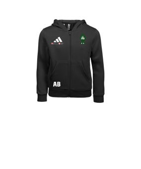 adidas Entrada 26 Kapuzenjacke Kids Schwarz