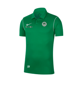 Nike Park 20 Poloshirt Grün F302