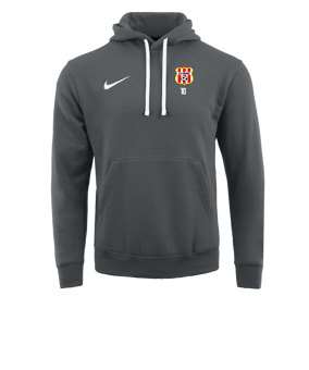 Sweat à capuche en polaire Nike Park 20 Gris blanc F071