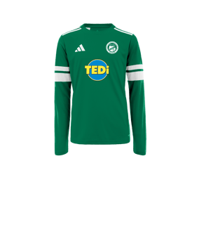 adidas Squadra 25 Trikot Kids Grün