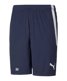 PUMA teamLIGA Short Blau Weiss F06