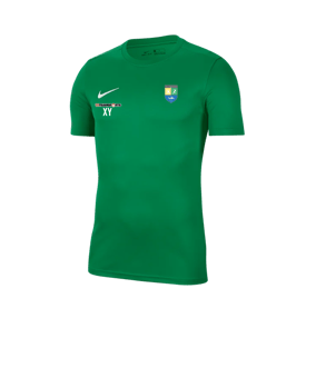 Nike Park VII Trikot kurzarm Grün F302