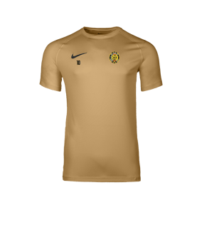 Nike Park VIII Maillot Gold C729