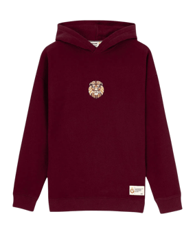 GSSTORE X Reflect Studio Lion Hoody Rot - rot