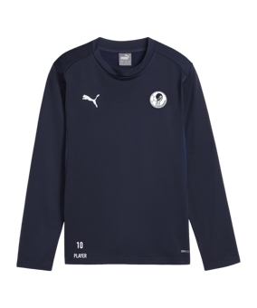 PUMA teamGOAL Training Sweatshirt Kids Blau F06
