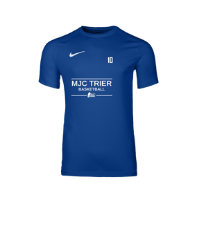 Nike Park VIII Trikot Blau F463