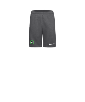 Nike Park 26 Sweatshort Kids Grau F071