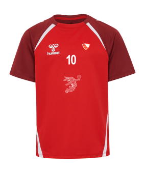 Hummel Lead 2.0 Trikot Kids Rot F3713