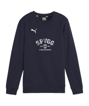 PUMA teamGOAL Casuals Sweatshirt Kids Blau F06