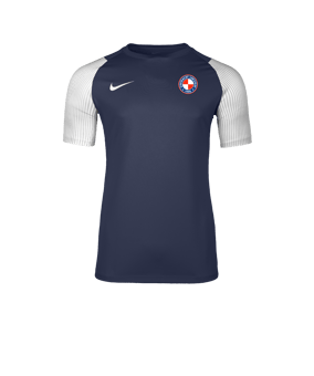Nike Academy II Trikot Blau F411