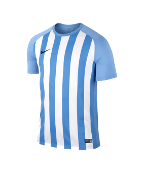 Nike Striped Segment III Trikot kurzarm Blau F412 - blau
