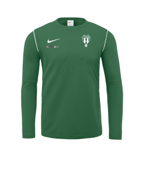 Nike Park 20 Sweatshirt Grün Weiss F302