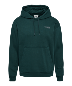 Hummel Loose Sportswear Hoody Grün F6565 - gruen