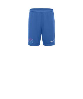 Nike Park III Court Enfants Bleu C412 