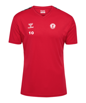 Hummel hmlAUTHENTIC PL Trikot Rot F3062