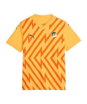 PUMA teamGLORY Trikot Kids Orange Schwarz F61