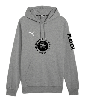 PUMA teamGOAL Casuals Hoody Grau F33