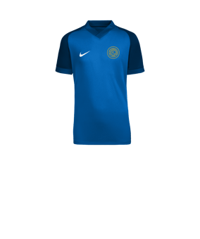 Nike Trophy VI Trikot Kids Blau F463