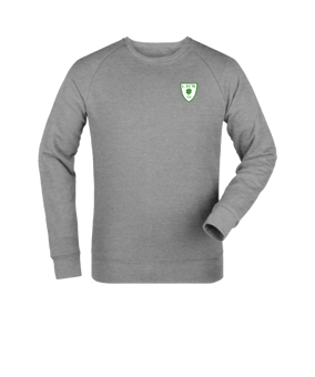 Merch Roller Sweatshirt Heather Grey FC250