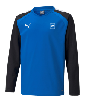 PUMA teamLIGA Sweatshirt Kids Blau F02