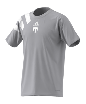 adidas Fortore 23 Trikot Kids Grau Weiss