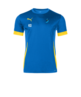 PUMA teamGOAL Matchday Trikot Blau Gelb F16