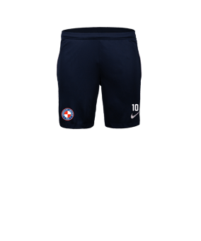 Nike Park 26 Short Blau F410