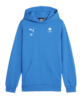 PUMA teamGOAL Casuals Hoody Kids Blau F02