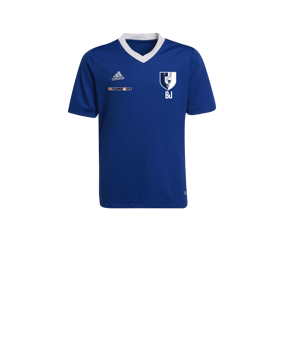 adidas Entrada 22 Trikot Kids Blau Weiss
