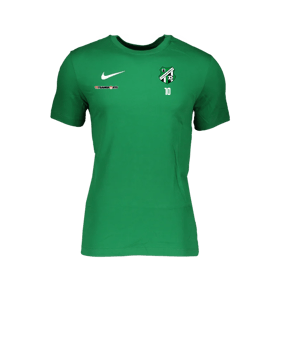 Nike Park 20 Dry T-Shirt Grün Weiss F302