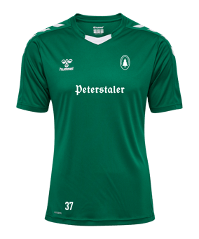 Hummel hmlCORE XK Poly Trikot Grün F6140