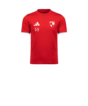 adidas Entrada 26 Trainingsshirt Kids Rot