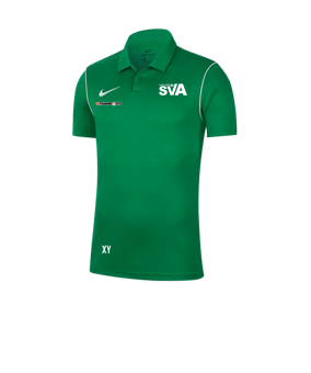 Nike Park 20 Poloshirt Grün F302