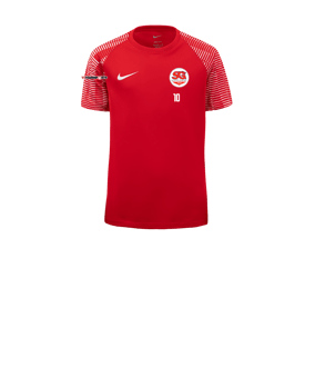 Nike Academy Trikot Kids Rot Weiss F657