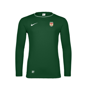 Nike Park 26 Longsleeve Grün F302