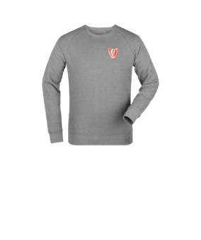 Merch Mini Changer 2.0 Sweatshirt Kids Heather Grey FC250