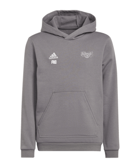adidas Entrada 22 Hoody Kids Grau