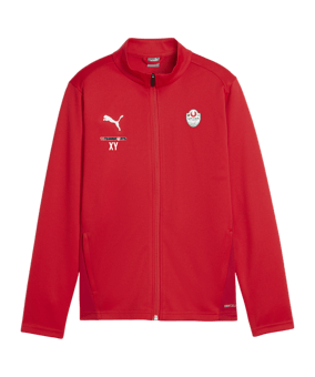 PUMA teamGOAL Trainingsjacke Kids Rot F01