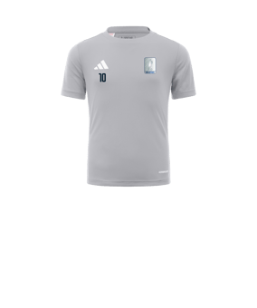 adidas Tabela 23 Trikot Kids Grau Weiss