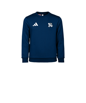 adidas Entrada 26 Sweatshirt Kids Blau