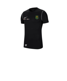 Nike Park 20 T-Shirt Kids Schwarz F010
